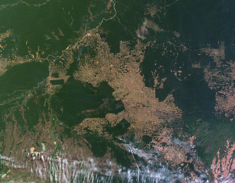 Satellite image