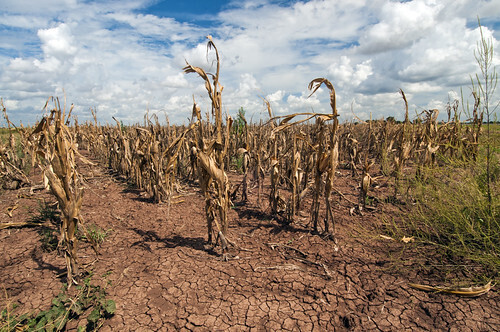 Soil Moisture and Water Resources